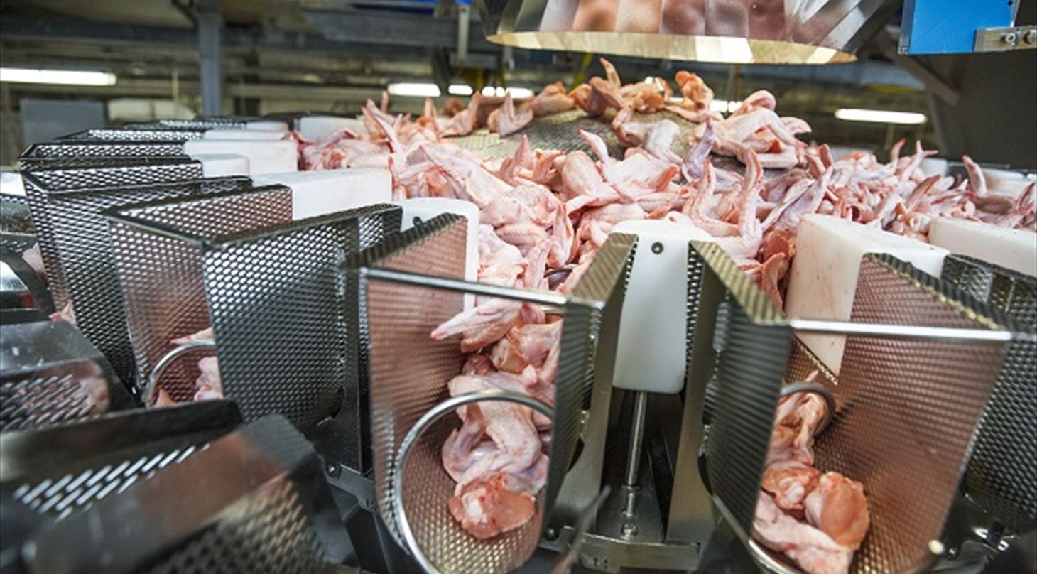 Operation boost poultry